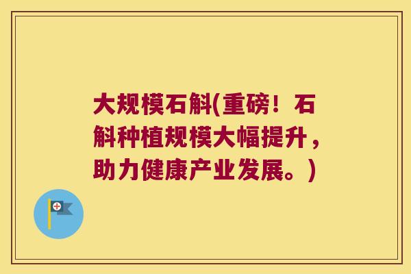 大规模石斛(重磅！石斛种植规模大幅提升，助力健康产业发展。)