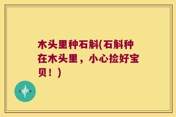 木头里种石斛(石斛种在木头里，小心捡好宝贝！)