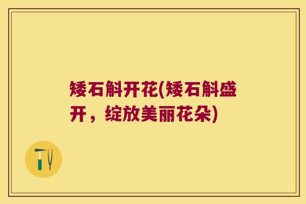 矮石斛开花(矮石斛盛开，绽放美丽花朵)