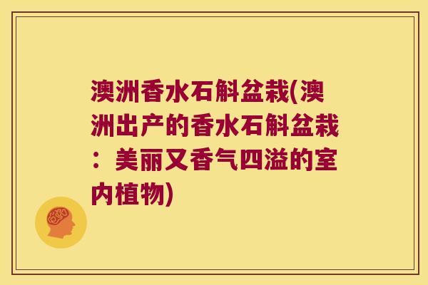 澳洲香水石斛盆栽(澳洲出产的香水石斛盆栽：美丽又香气四溢的室内植物)