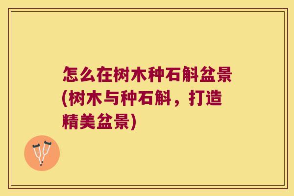 怎么在树木种石斛盆景(树木与种石斛，打造精美盆景)