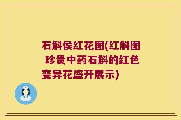 石斛侯红花图(红斛图 珍贵中药石斛的红色变异花盛开展示)