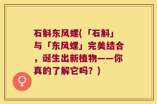 石斛东风螺(「石斛」与「东风螺」完美结合，诞生出新植物——你真的了解它吗？)