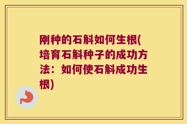 刚种的石斛如何生根(培育石斛种子的成功方法：如何使石斛成功生根)