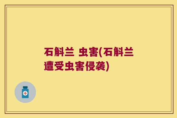 石斛兰 虫害(石斛兰遭受虫害侵袭)