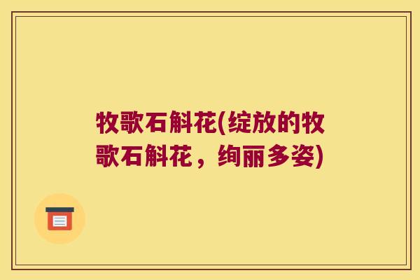牧歌石斛花(绽放的牧歌石斛花,绚丽多姿) 牧歌石斛花(绽放的牧歌石斛花,绚丽多姿)
