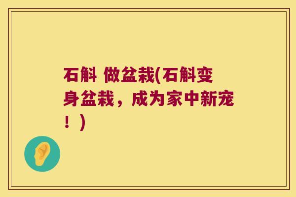 石斛 做盆栽(石斛变身盆栽，成为家中新宠！)