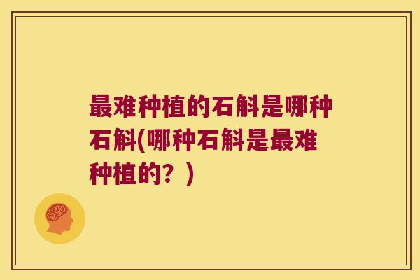 最难种植的石斛是哪种石斛(哪种石斛是最难种植的？)