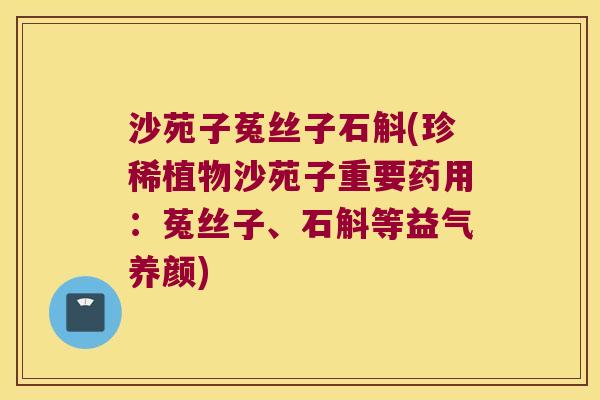沙苑子菟丝子石斛(珍稀植物沙苑子重要药用：菟丝子、石斛等益气养颜)