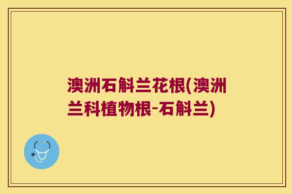 澳洲石斛兰花根(澳洲兰科植物根-石斛兰)