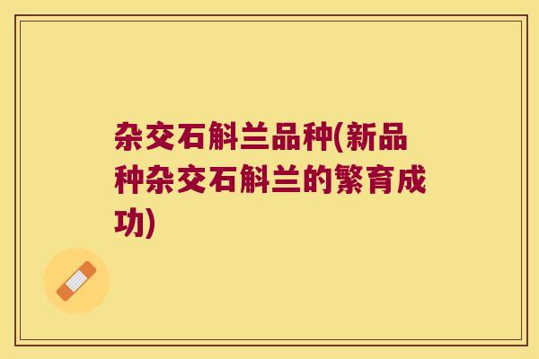 杂交石斛兰品种(新品种杂交石斛兰的繁育成功)