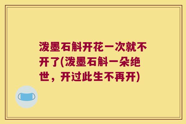 泼墨石斛开花一次就不开了(泼墨石斛一朵绝世，开过此生不再开)