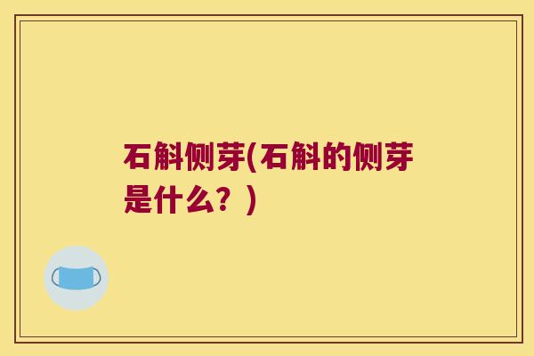 石斛侧芽(石斛的侧芽是什么？)