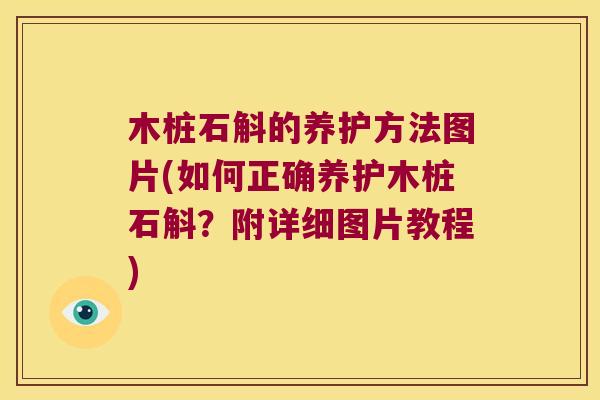 木桩石斛的养护方法图片(如何正确养护木桩石斛？附详细图片教程)
