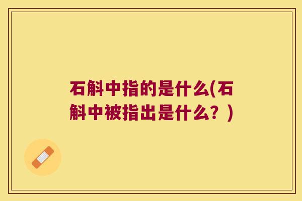 石斛中指的是什么(石斛中被指出是什么？)