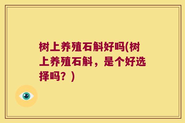 树上养殖石斛好吗(树上养殖石斛，是个好选择吗？)