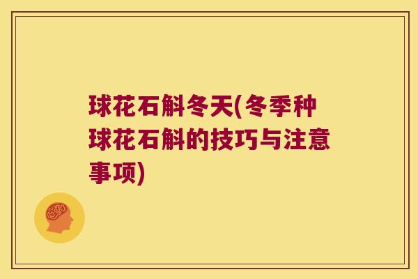 球花石斛冬天(冬季种球花石斛的技巧与注意事项)
