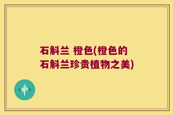 石斛兰 橙色(橙色的石斛兰珍贵植物之美)
