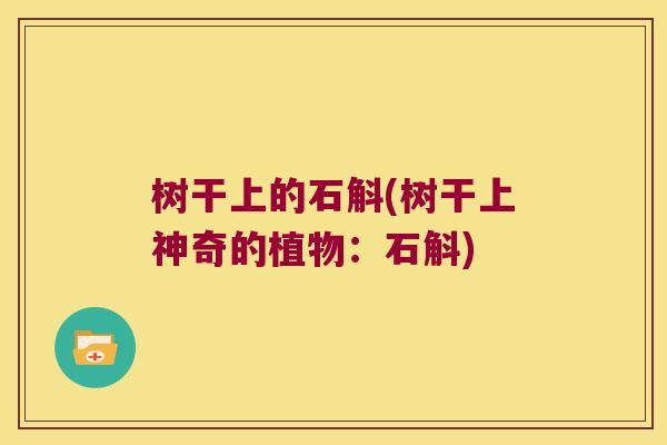 树干上的石斛(树干上神奇的植物：石斛)