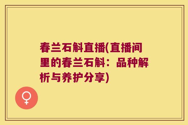 春兰石斛直播(直播间里的春兰石斛：品种解析与养护分享)
