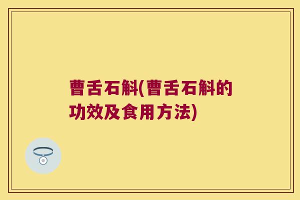 曹舌石斛(曹舌石斛的功效及食用方法)