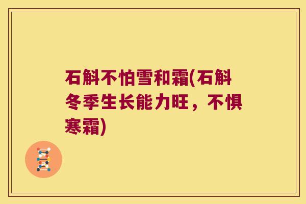 石斛不怕雪和霜(石斛冬季生长能力旺,不惧寒霜) 石斛不怕雪和霜(石斛冬季生长能力旺,不惧寒霜)