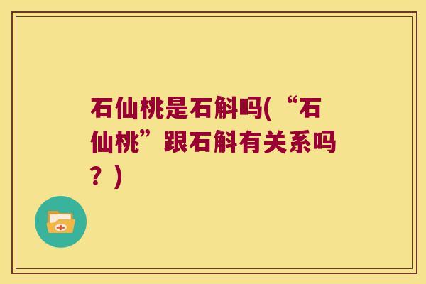 石仙桃是石斛吗(“石仙桃”跟石斛有关系吗？)