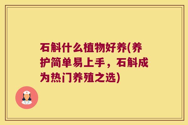 石斛什么植物好养(养护简单易上手,石斛成为热门养殖之选) 石斛什么植物好养(养护简单易上手,石斛成为热门养殖之选)