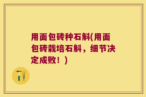 用面包砖种石斛(用面包砖栽培石斛,细节决定成败!) 用面包砖种石斛(用面包砖栽培石斛,细节决定成败!)