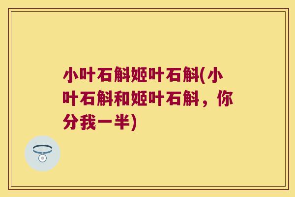 小叶石斛姬叶石斛(小叶石斛和姬叶石斛，你分我一半)