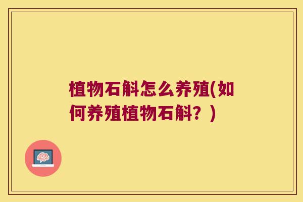植物石斛怎么养殖(如何养殖植物石斛？)