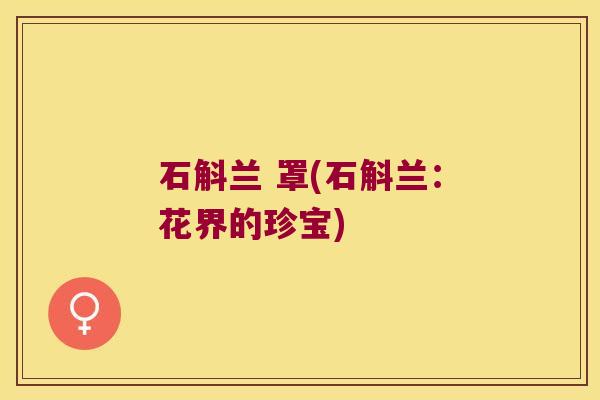 石斛兰 罩(石斛兰：花界的珍宝)