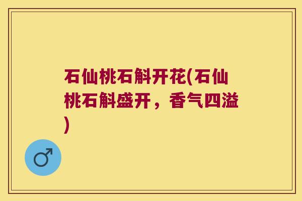 石仙桃石斛开花(石仙桃石斛盛开，香气四溢)