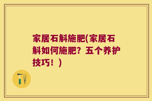 家居石斛施肥(家居石斛如何施肥?五个养护技巧!) 家居石斛施肥(家居石斛如何施肥?五个养护技巧!)