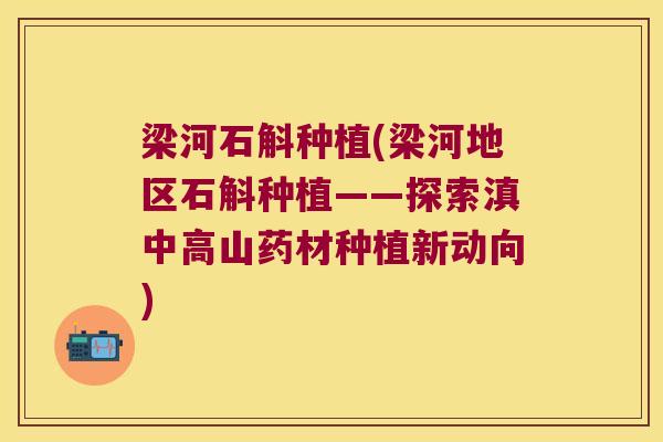 梁河石斛种植(梁河地区石斛种植——探索滇中高山药材种植新动向)