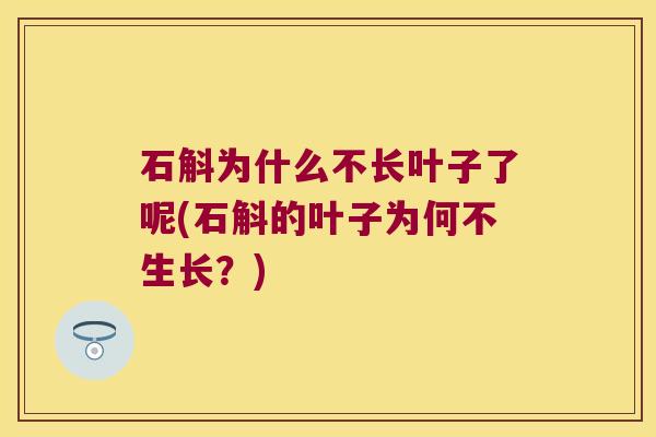 石斛为什么不长叶子了呢(石斛的叶子为何不生长？)