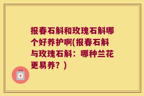 报春石斛和玫瑰石斛哪个好养护啊(报春石斛与玫瑰石斛：哪种兰花更易养？)