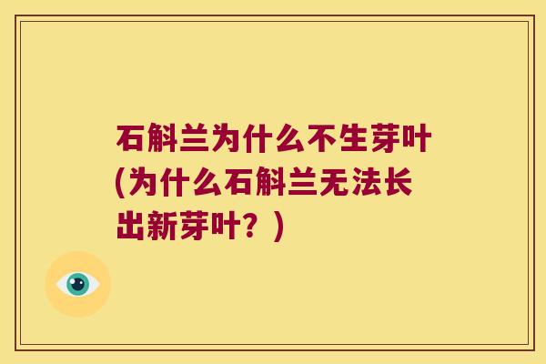 石斛兰为什么不生芽叶(为什么石斛兰无法长出新芽叶?) 石斛兰为什么不生芽叶(为什么石斛兰无法长出新芽叶?)