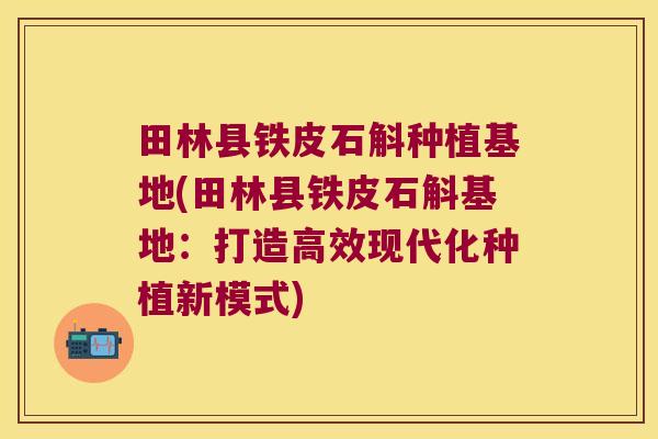 田林县铁皮石斛种植基地(田林县铁皮石斛基地：打造高效现代化种植新模式)