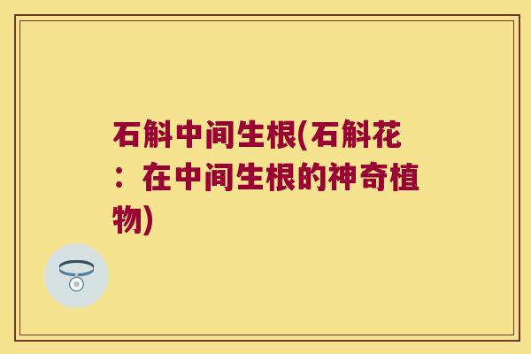 石斛中间生根(石斛花：在中间生根的神奇植物)