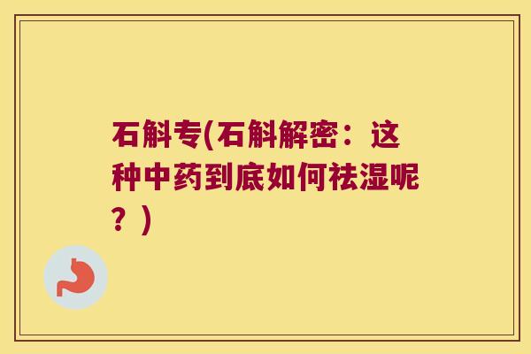 石斛专(石斛解密：这种中药到底如何祛湿呢？)