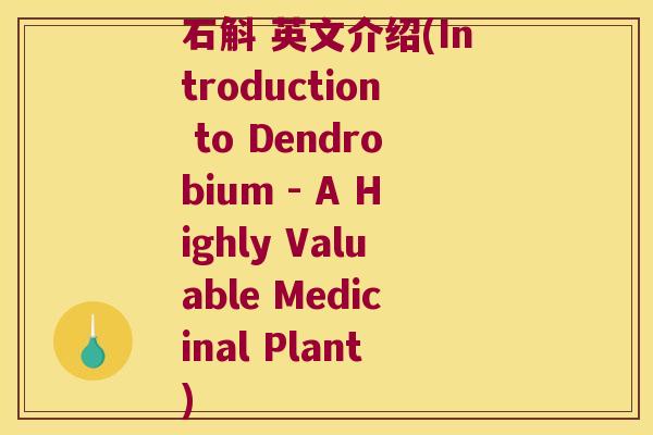 石斛 英文介绍(Introduction to Dendrobium - A Highly Valuable Medicinal Plant)