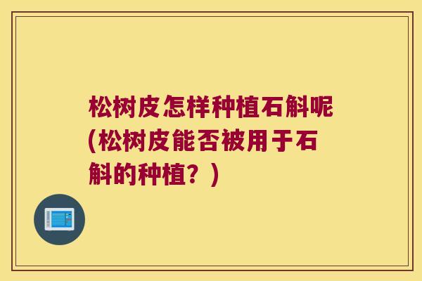 松树皮怎样种植石斛呢(松树皮能否被用于石斛的种植？)