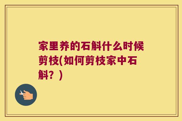 家里养的石斛什么时候剪枝(如何剪枝家中石斛？)