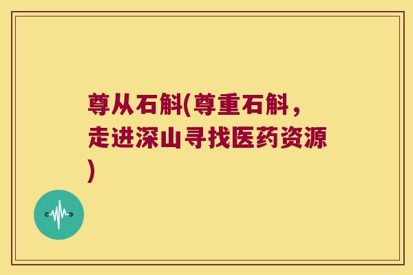 尊从石斛(尊重石斛，走进深山寻找医药资源)