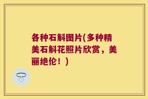 各种石斛图片(多种精美石斛花照片欣赏，美丽绝伦！)