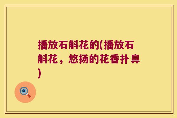 播放石斛花的(播放石斛花，悠扬的花香扑鼻)