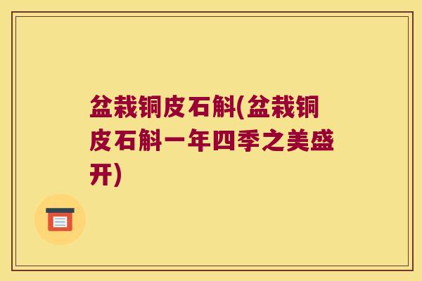 盆栽铜皮石斛(盆栽铜皮石斛一年四季之美盛开)