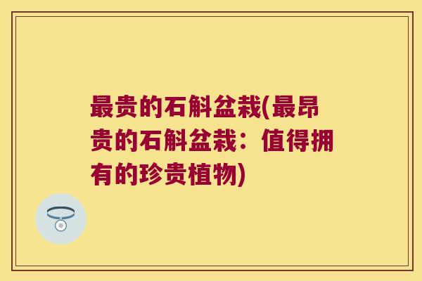 最贵的石斛盆栽(最昂贵的石斛盆栽：值得拥有的珍贵植物)