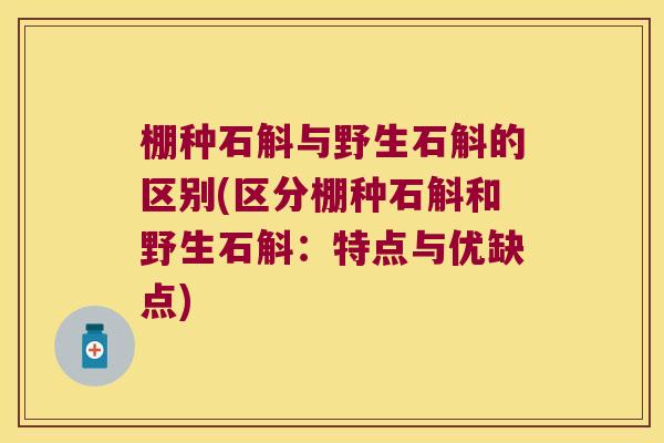 棚种石斛与野生石斛的区别(区分棚种石斛和野生石斛：特点与优缺点)